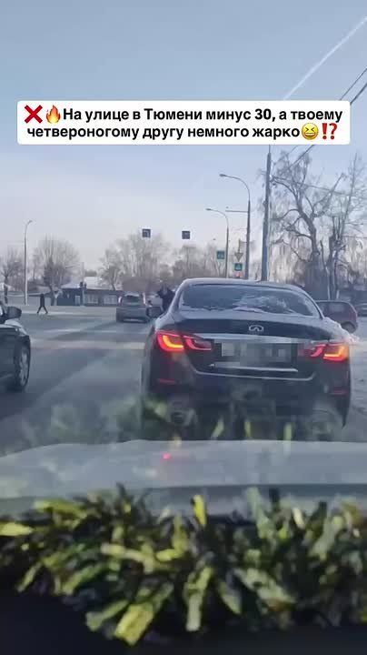 ���� � -30� �������� ���. ������� �������� ������, �������� ���������� ����������� � ��� �������� ������ ������� �������� ����������