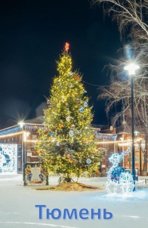 Новогодние ели из Тюменской области участвуют в региональном этапе всероссийского конкурса «Ёлки России»