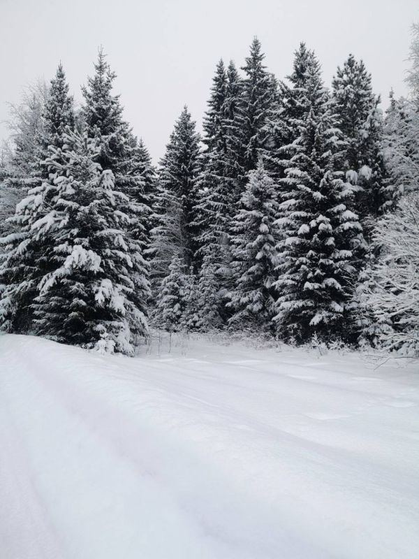 ������� ������� �� �������� �� ��������� ������