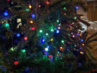 Намотчик гирлянд «Роса» на елку и аренда замка стали необычными услугами в Тюменской области