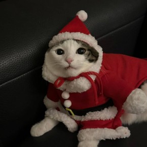 3 ��� �� ������ ����. ������ ����! ��� ����������� ���� �� ����������� ����? ��������� �����: � ������� �� ���������� ���� �������� ������ ���� ������ ���� ����� ������ � �������� � ��� ����� ���� �������� ���� �������� ����...