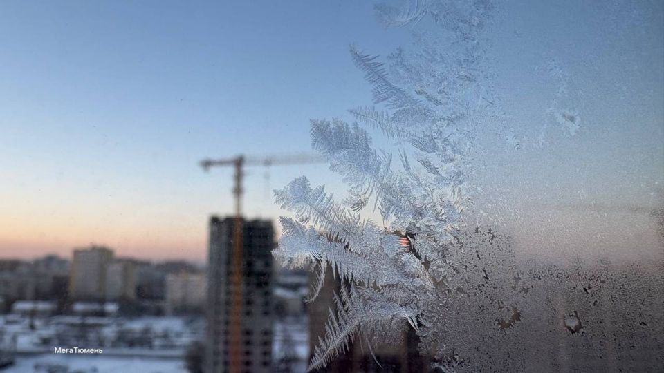 ����� ������ ���� �������� � ���������� ����?