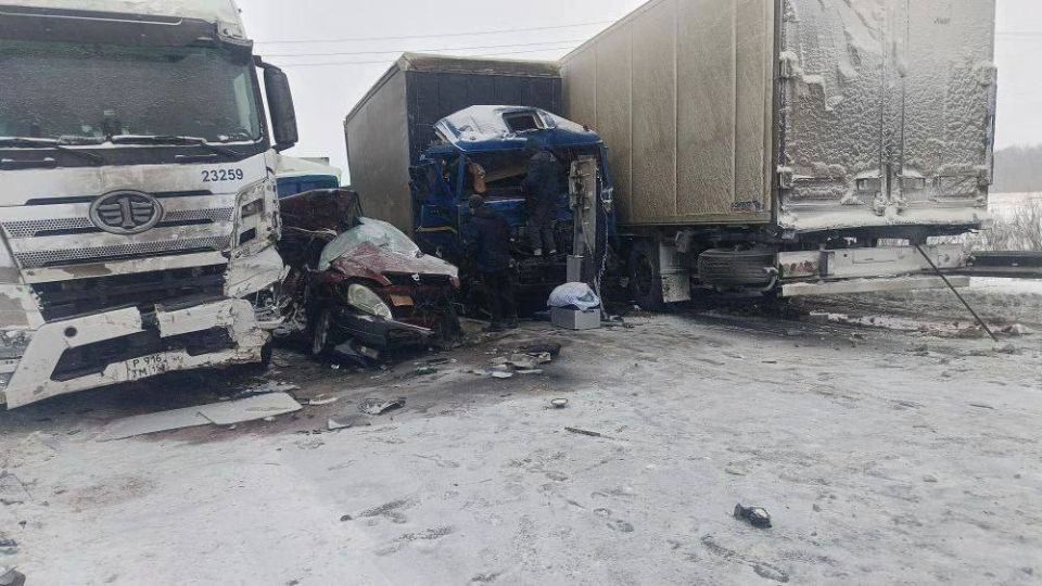 ���� ����������� �����: � ����� ���� �� ����������� ������� ������� ������� ���������������� �����������, ������������ �� ��������� ������������ ��������