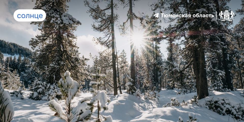 ����� ������� ������ ������� ��� ������� 3 ������