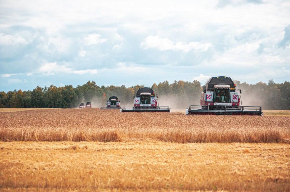 ������� ��������� ������� �������� ��������� ����������� � 2025 ����