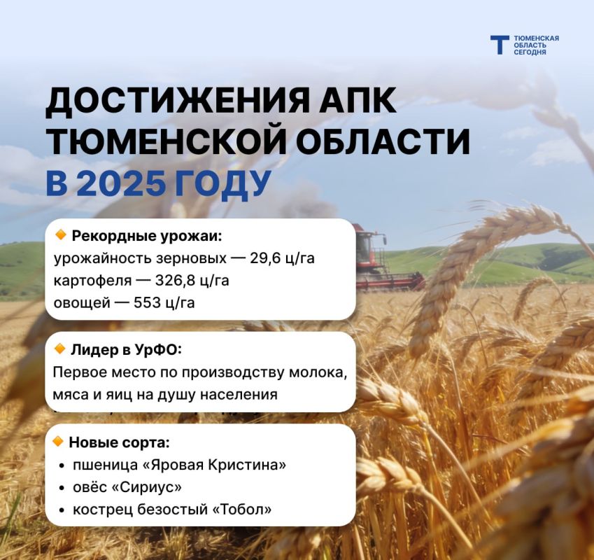 ����������� ��� ��������� ������� ������ ����� ������ 2025 ����