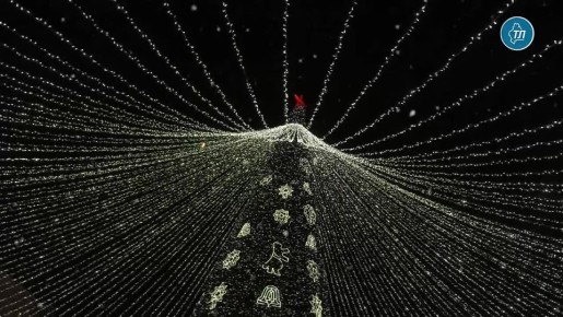 Подготовили видео с открытия шикарной елки на площади 400-летия Тюмени