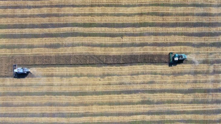 ����� �������� ����� �� ����� �������, �������, ������ � �������� �� ������ �� ������� ������������ �������������� ����� � ���������� ������ �������� 20 ��� �