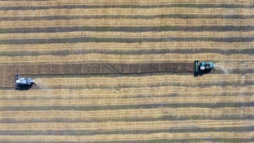 ����� �������� ����� �� ����� �������, �������, ������ � �������� �� ������ �� ������� ������������ �������������� ����� � ���������� ������ �������� 20 ��� �