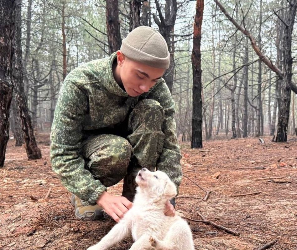 ��� ����� ���� ������ ������ �����