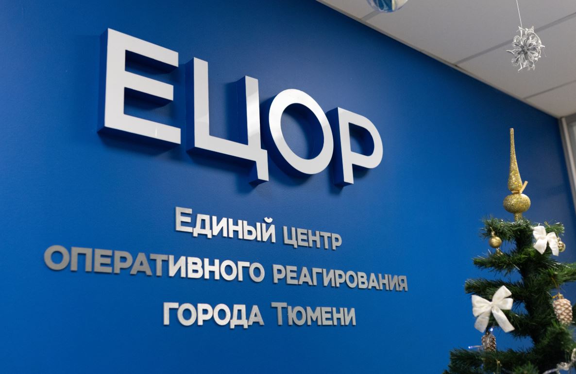 «Ёлка желаний». Мечты сбываются! «Ёлка желаний». Мечты сбываются!