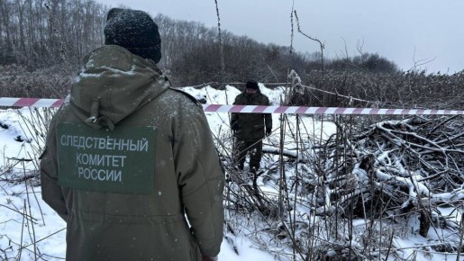 В Ялуторовске мужчина убил собутыльницу и пытался спрятать тело, но его фрагменты были найдены местными жителями