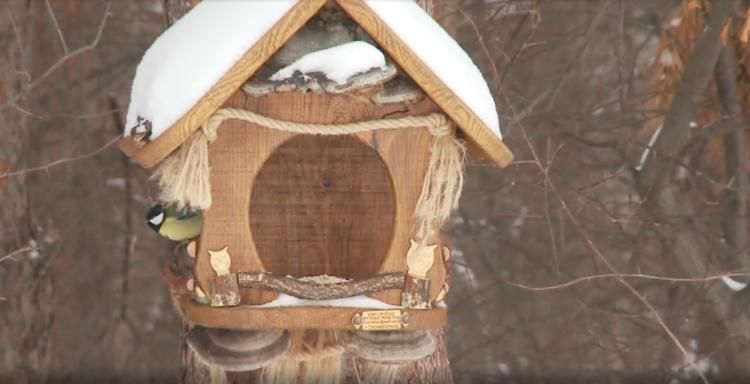 ������� �������� ������� ������� ��������� ������ ��� ���� � �����