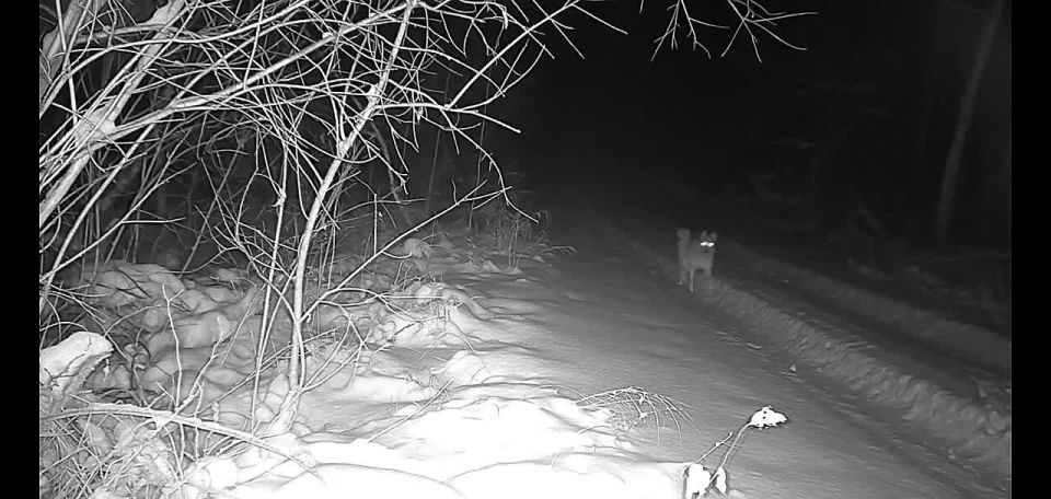 ��������� ��������� �������� ��� ����������� ����� � ��������