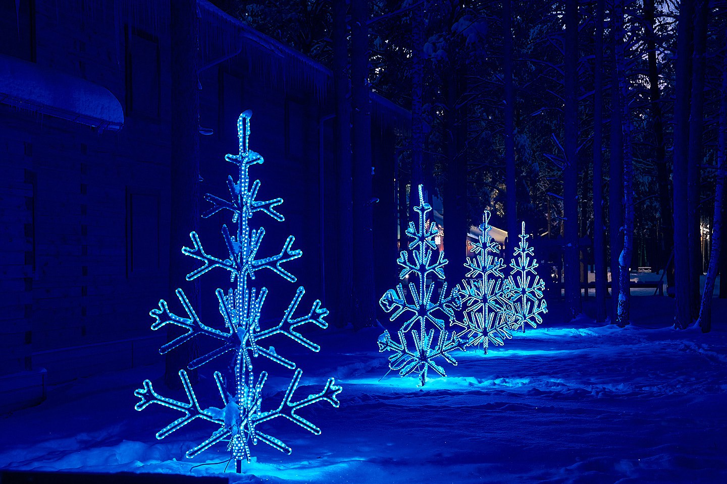 В Тюмени второй раз проходит масштабный конкурс «Новогодняя фантазия» В Тюмени второй раз проходит масштабный конкурс «Новогодняя фантазия»