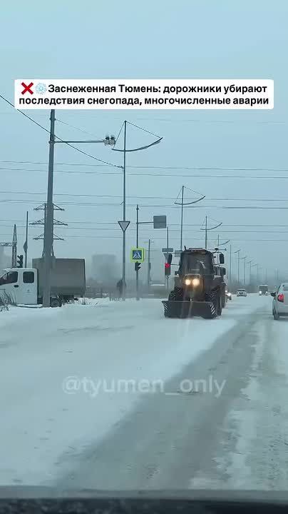 ���� �������. ����������