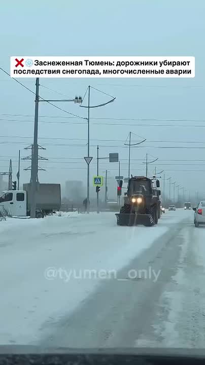 Наши трудяги. МегаТюмень