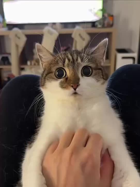 �� ������ ���� ���� ����. �� ��� ���, ���������? ������� ��� ��������� ���������� ���� ����? ����������