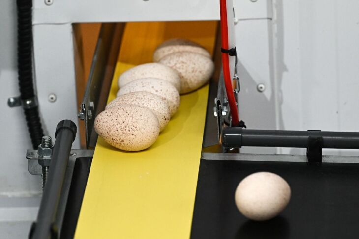 ������� �������������� ������� � ��� ��������� � ��������� ������� � 2026 � 2029 �����