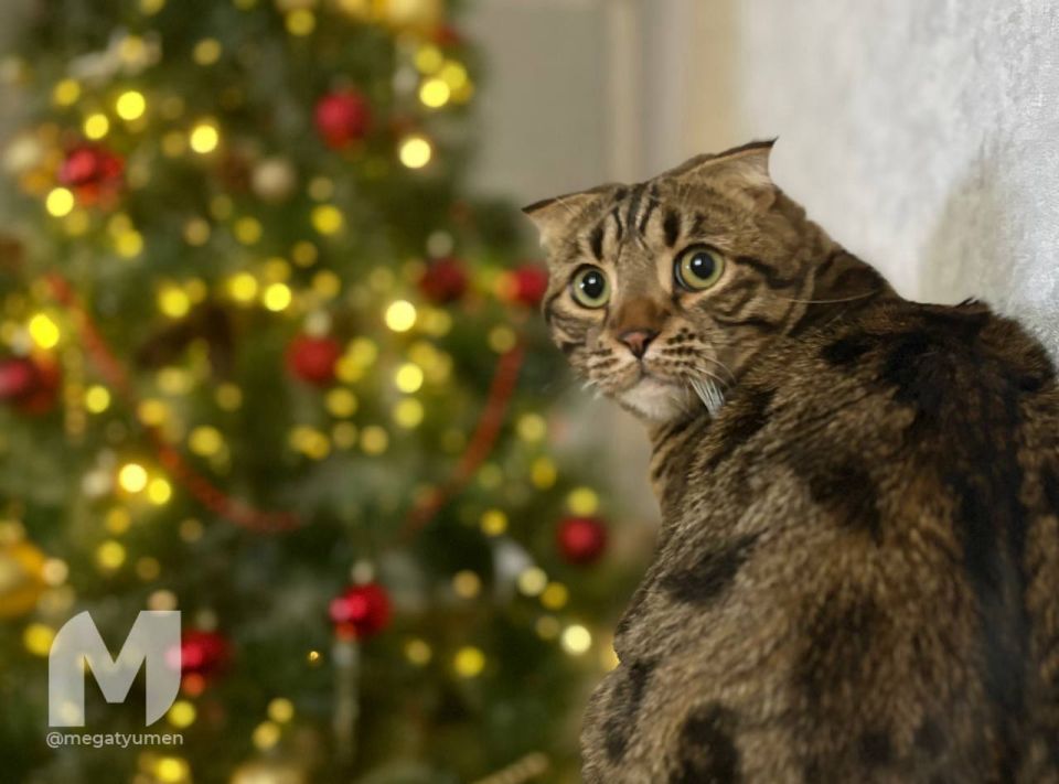 + ������ ���� � ��� ����� ���������� �����?