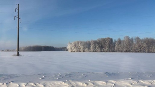 � ���� ����������! ������� �������� ������ � ��������� 2026 ������ ������!