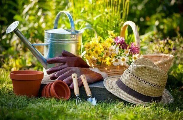 ��� ������� ������� ��� ����� ������: ������������� ������� �� �������