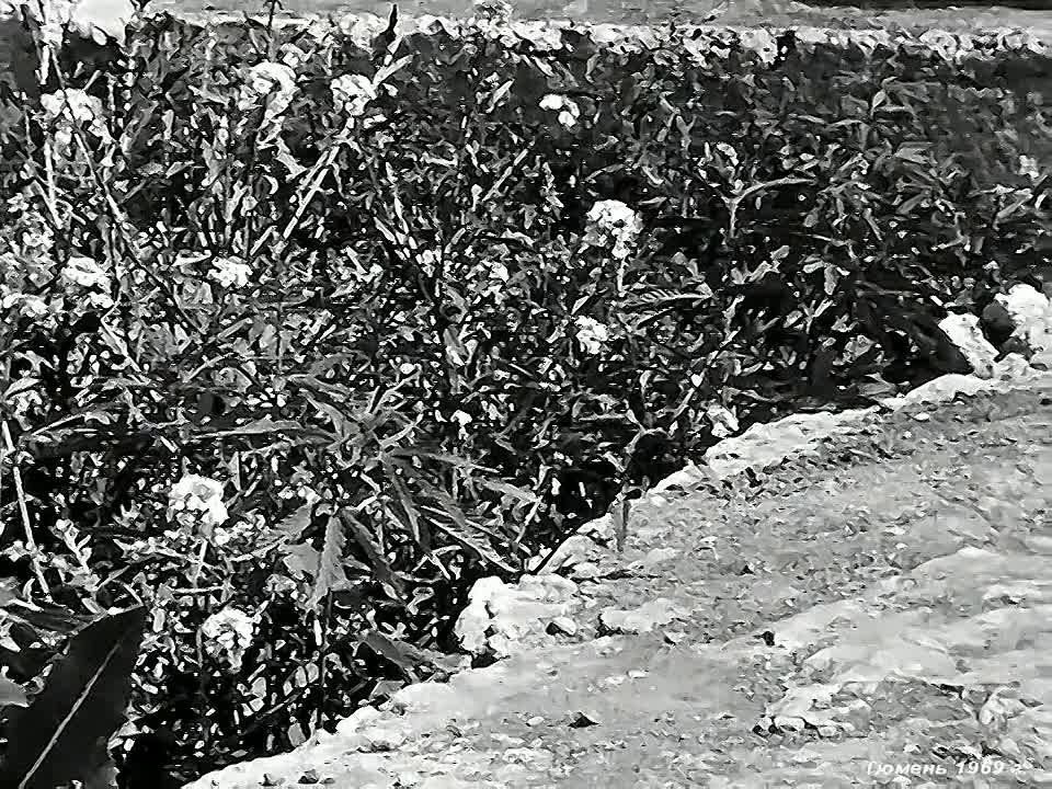 ������ ��� �� ����� ��� �������� ���������� ������� ��������� �������! �� ����� �������� ��������