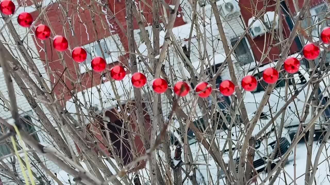 Один день из жизни городаКак можно больше ярких зимних впечатлений, друзья