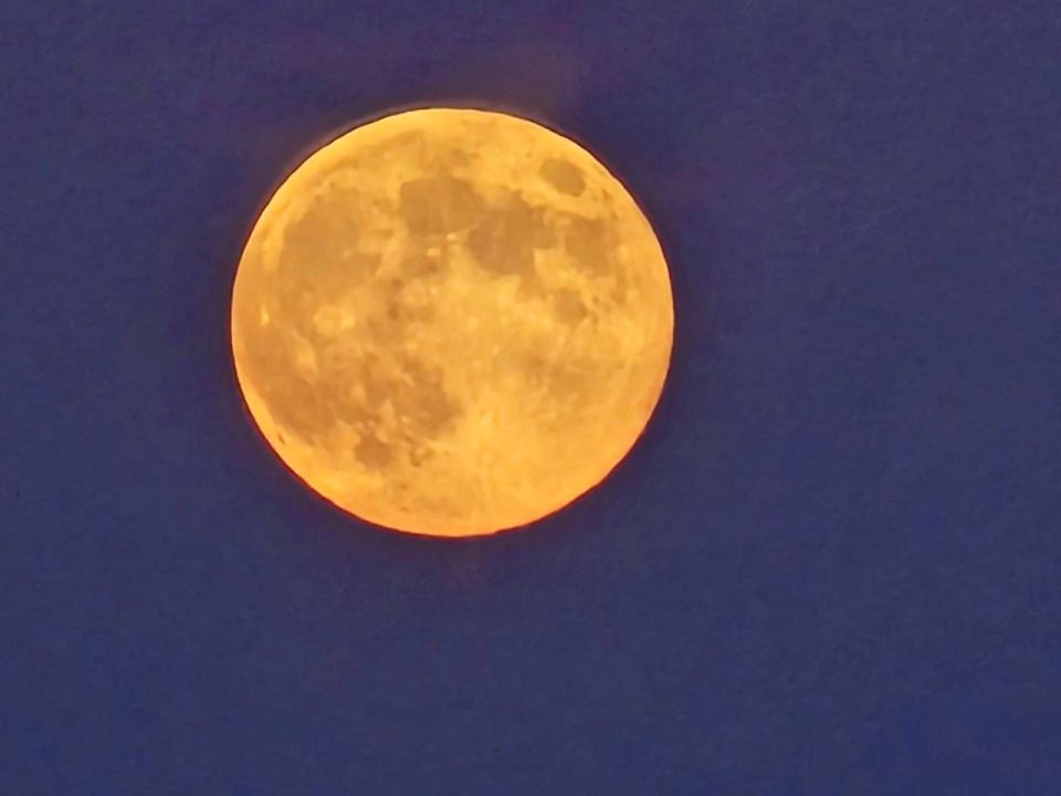 ��������� ����. ����������