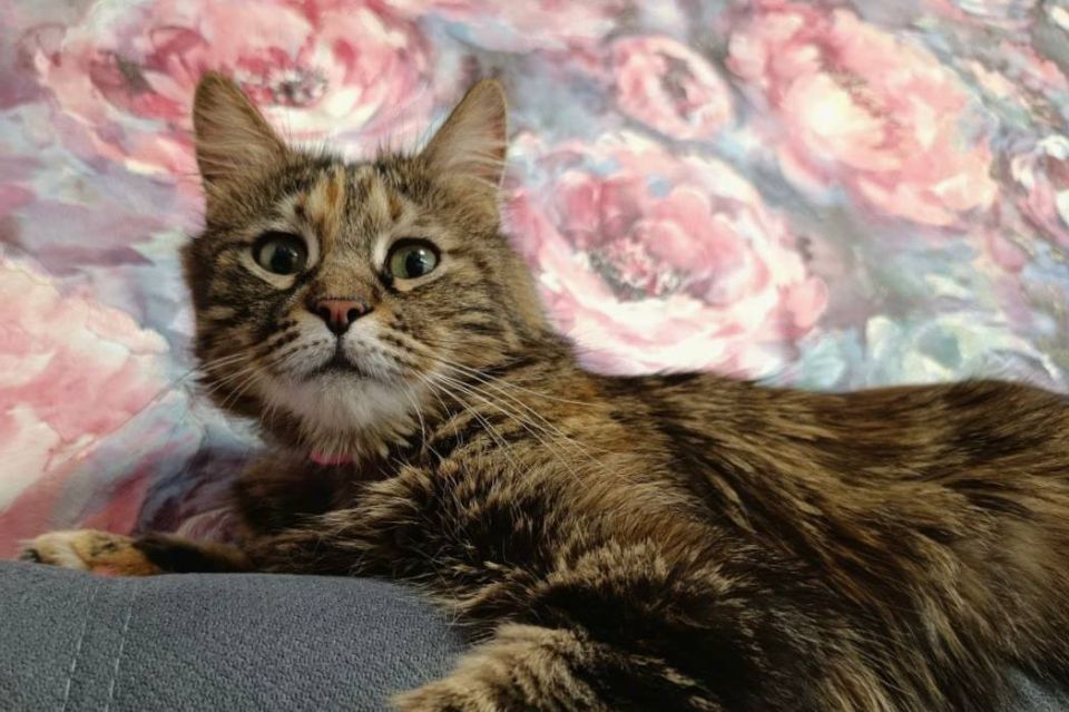 �� ������� � �� ������ �����