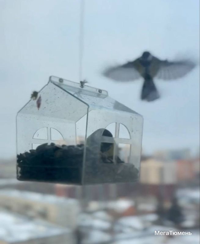 ����� �� ������������� ���� ����� � ����������� �����