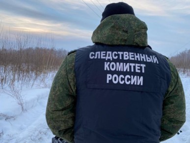 Следственное управление СК России по Тюменской области предупреждает об опасности катания на тюбингах