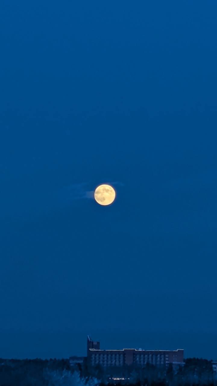 Тюменцы накануне наснимали волчью Луну Тюменцы накануне наснимали волчью Луну