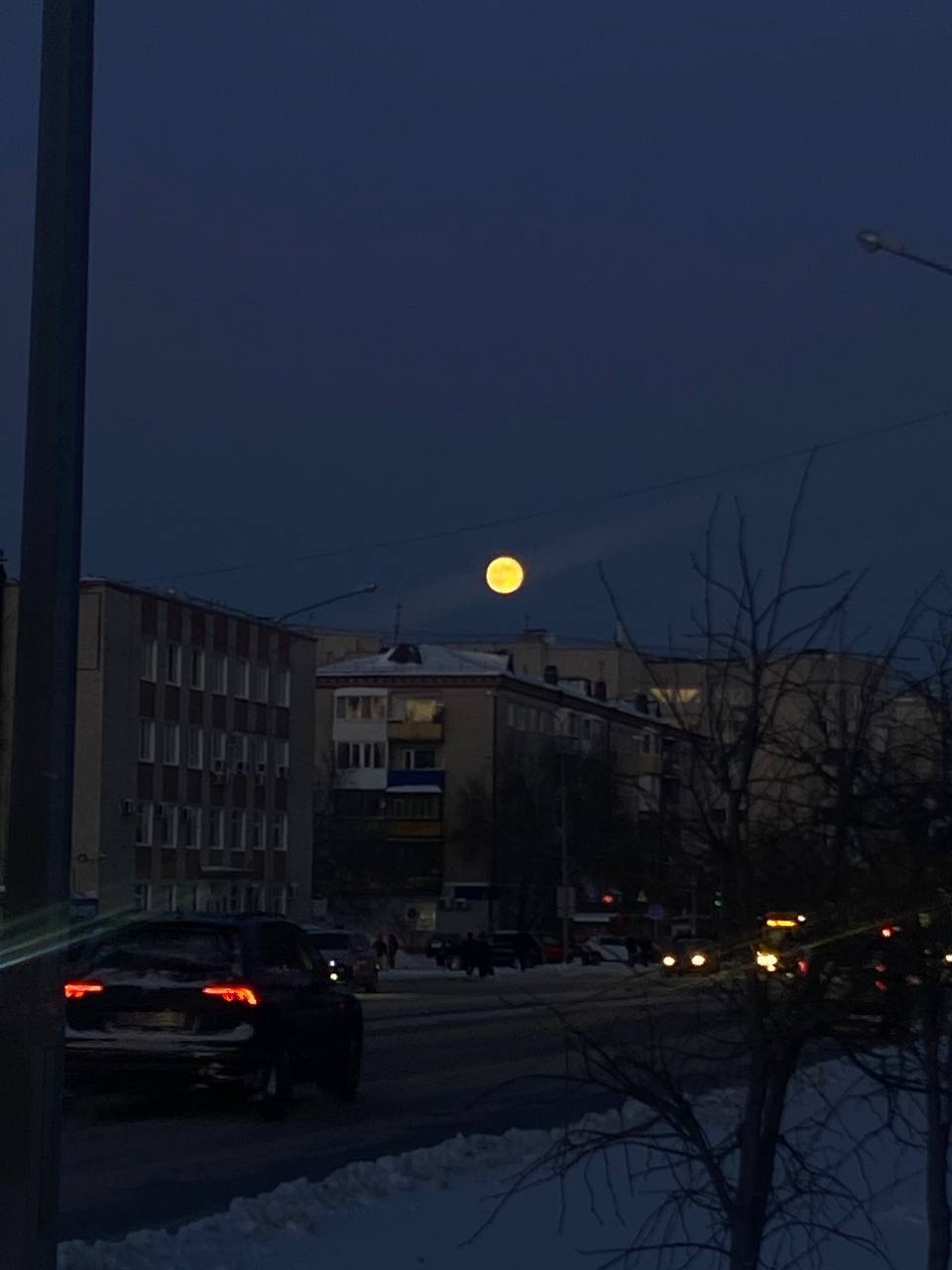 Тюменцы накануне наснимали волчью Луну