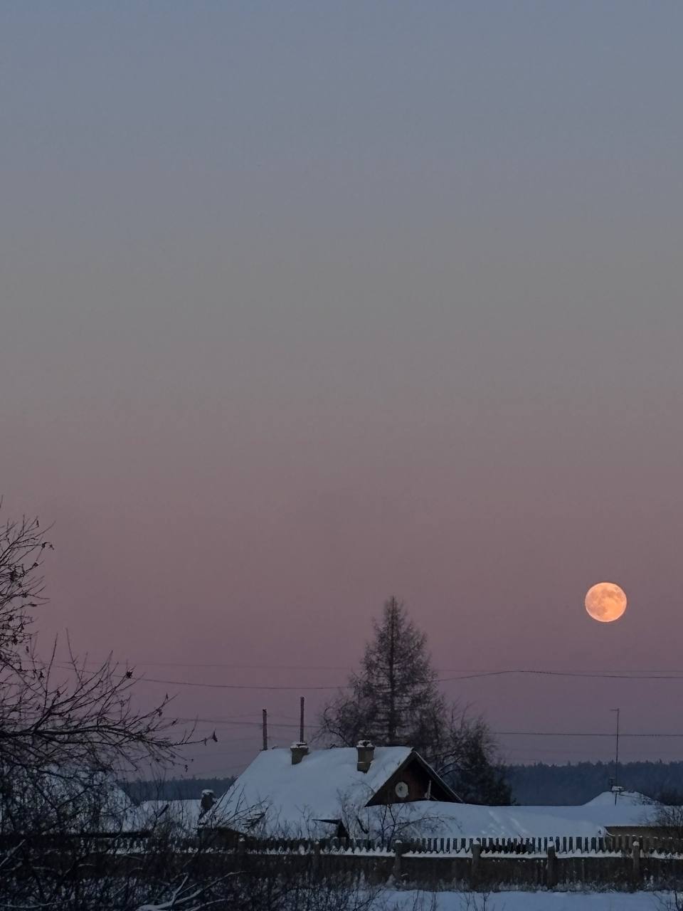 Тюменцы накануне наснимали волчью Луну Тюменцы накануне наснимали волчью Луну