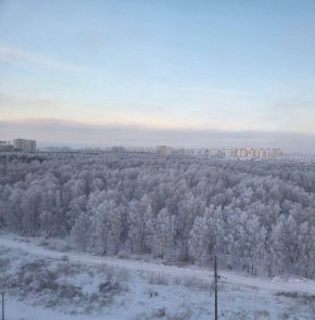 ������ � ����-��������. ����������