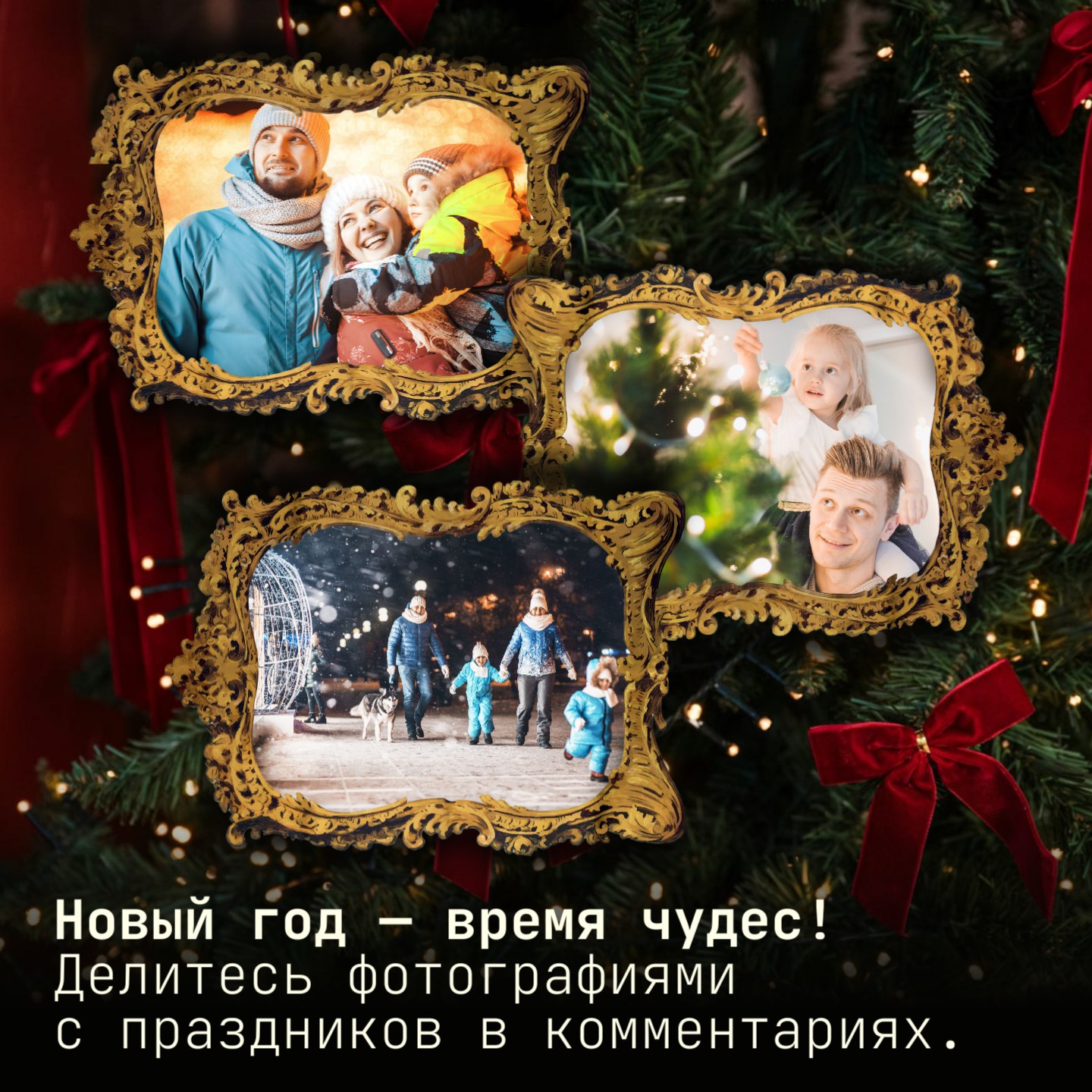 Магия праздника в каждом мгновении