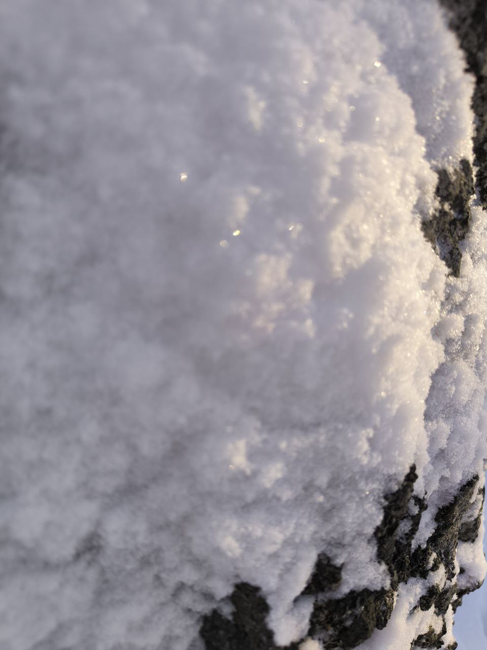 Белая берёза под моим окном Белая берёза под моим окном