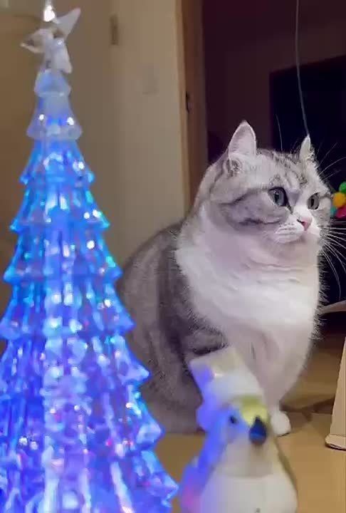 ������ ����!. 5-� ���� ��� �� ����� ��������� � ������������ ��� �� ���? ���������? ����������