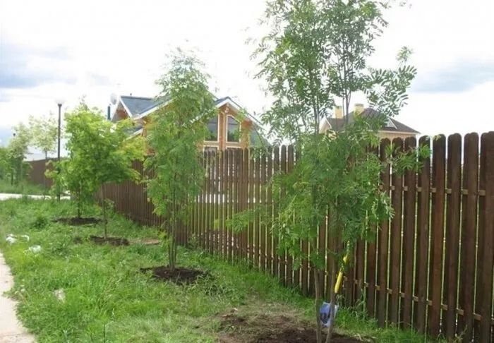 ��� ����������� �� ������� �������: ������� ���� � ���������� ���������