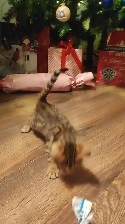 ����� ������ ����������� ����� ��� ������� ����������� ����������� ���!