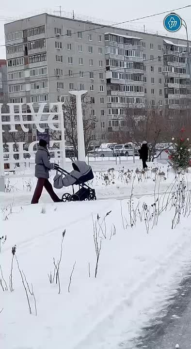 ������ ��������� ����� ��� � �������!