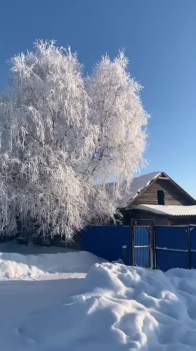 � ������ ����� ����� ����������� ������ �� ��������