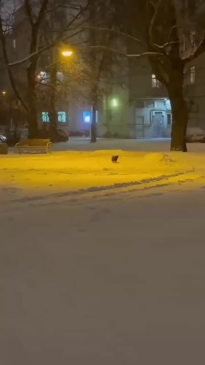 ������ ������: ����� �������� �����