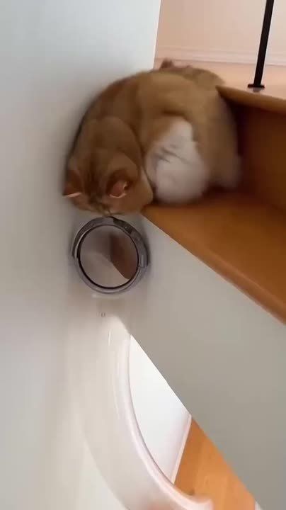 ��������� �� �������. ���������! ����������