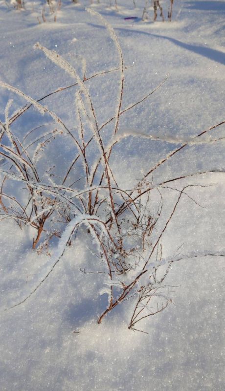 ���������� �������� �������� � ��������� ������� �������