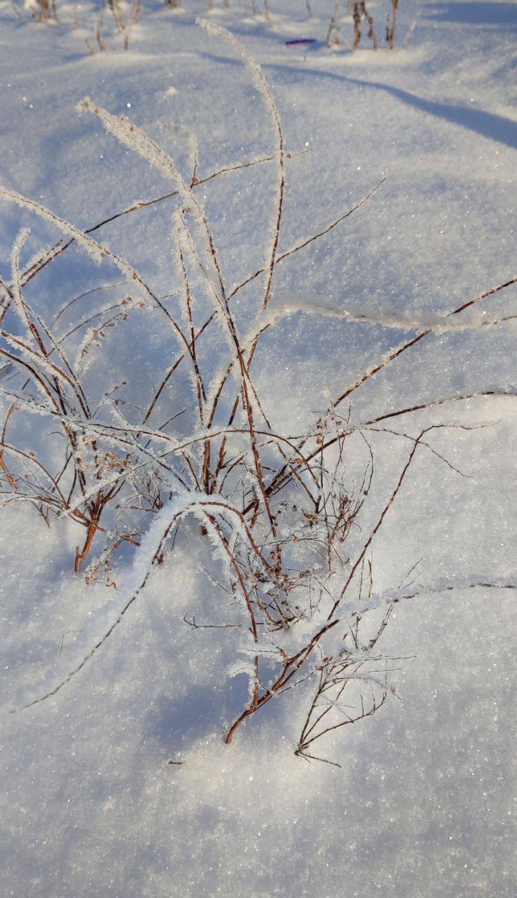 Продолжаем делиться красотой в объективе жителей области