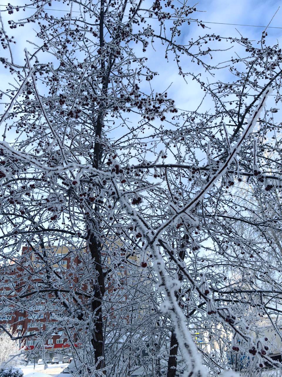 И это еще не все! Только посмотрите на эту красоту И это еще не все! Только посмотрите на эту красоту