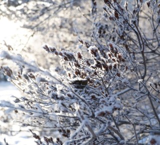 � ��� ��� �� ���! ������ ���������� �� ��� �������