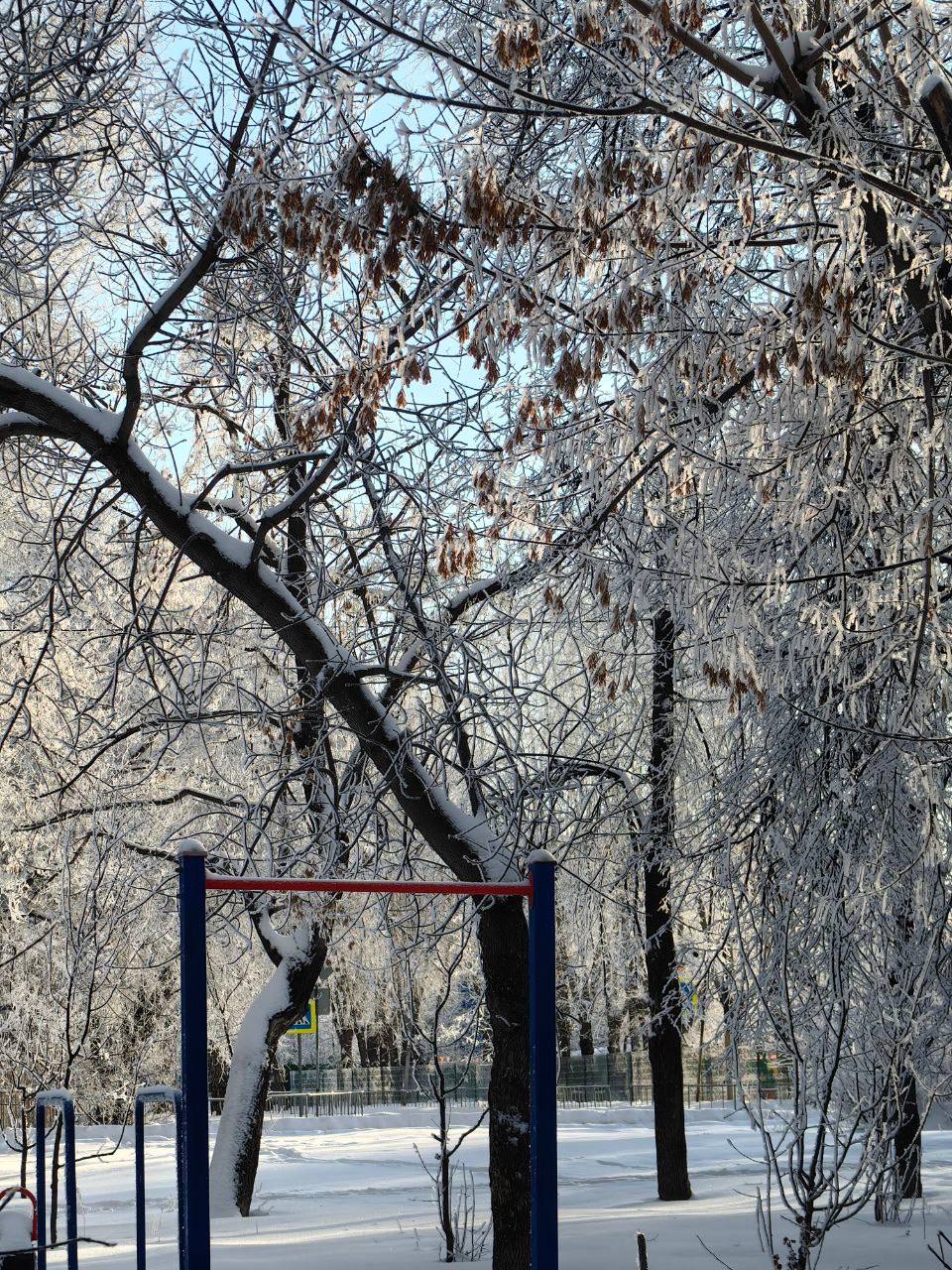 И это еще не все! Только посмотрите на эту красоту И это еще не все! Только посмотрите на эту красоту